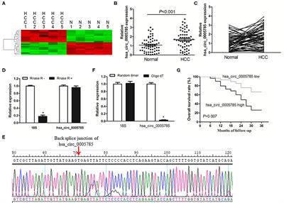 Upregulated hsa_circ_0005785 Facilitates Cell Growth and Metastasis of Hepatocellular Carcinoma Through the miR-578/APRIL Axis